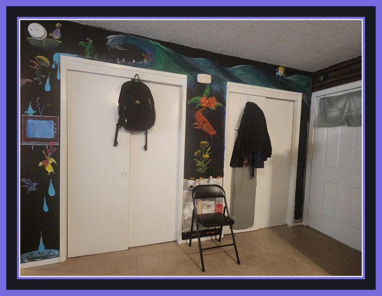 Head-on view of the same black wall: a painted orange catfish beneath an orchid and a yellow water plant on the strip between two closet doors, with a teal wave and vine line running along the top of the wall.