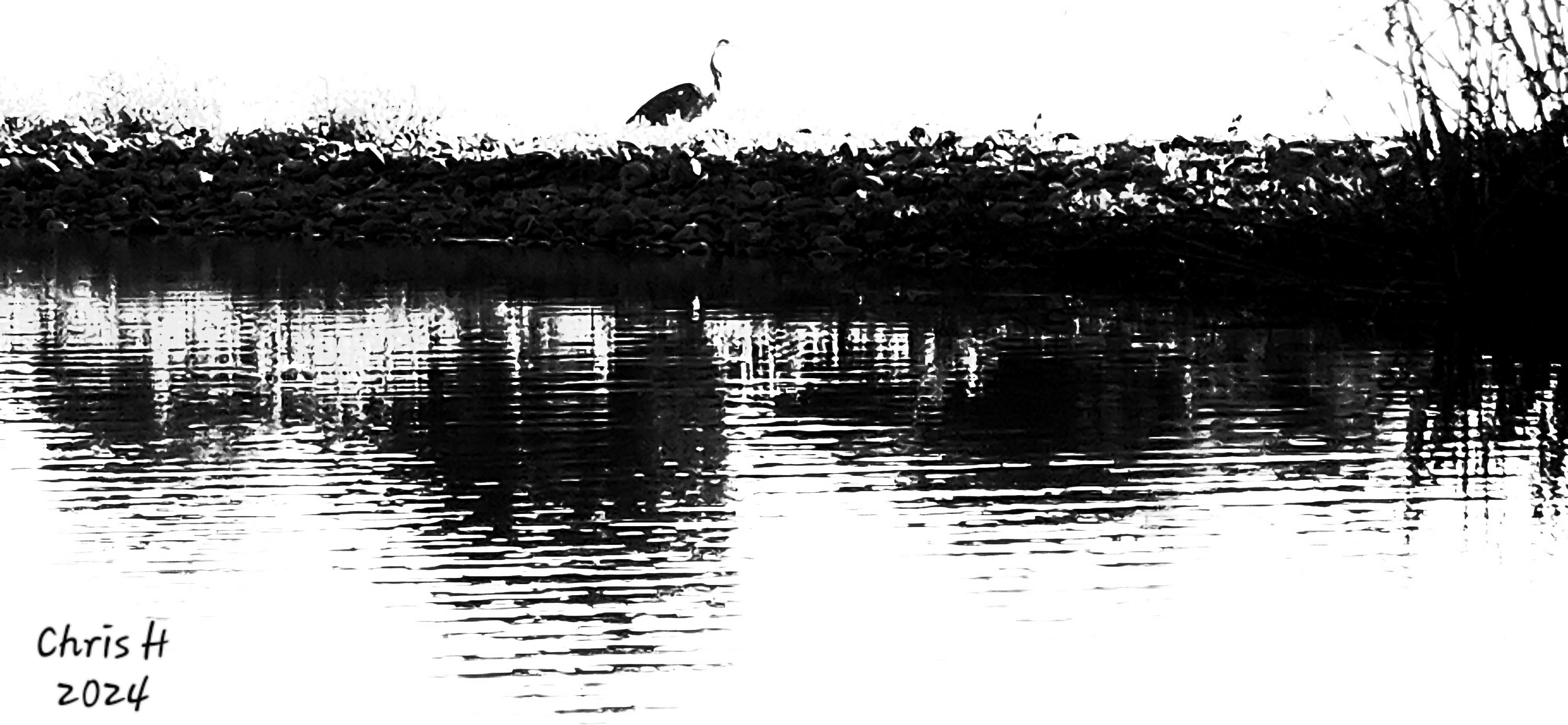 High-contrast black and white edited photograph of a heron standing on a rocky bank, its silhouette mirrored in the still, rippling water below.